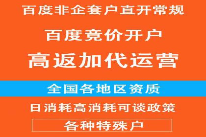 谷歌SEM案例研究：数据分析与效果评估